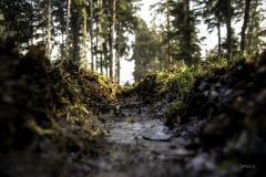 Natur