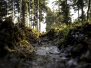 Natur